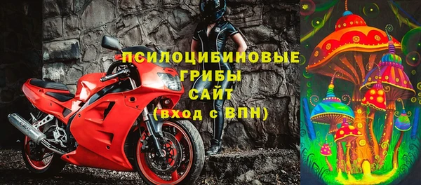 стафф Белокуриха