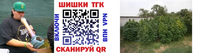 даркнет какой сайт  где купить наркоту  Михайлов  Бошки Шишки ГИДРОПОН 